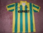 Maillot 1994-1995 port__ par nmr 9  Avant.JPG